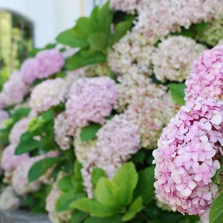 דירה Vale Da Varzea *