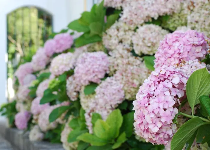 Apartamento Vale Da Varzea *